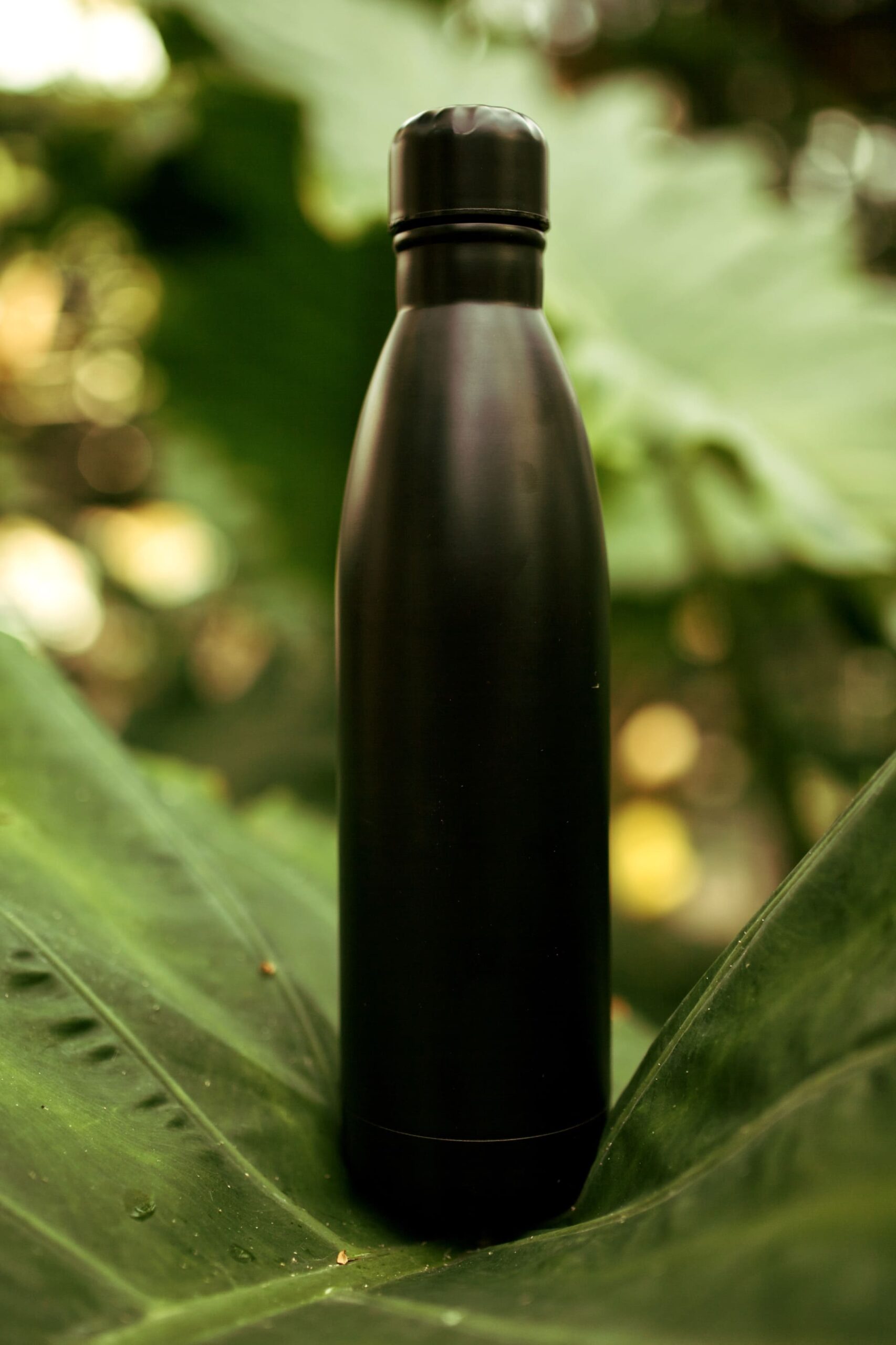 botella goya-deskoko