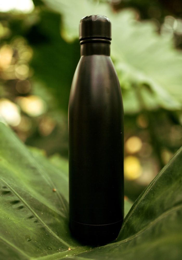 botella goya-deskoko
